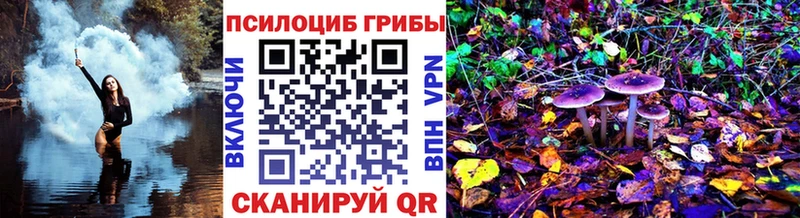 Галлюциногенные грибы Psilocybine cubensis  площадка какой сайт  Красноярск 